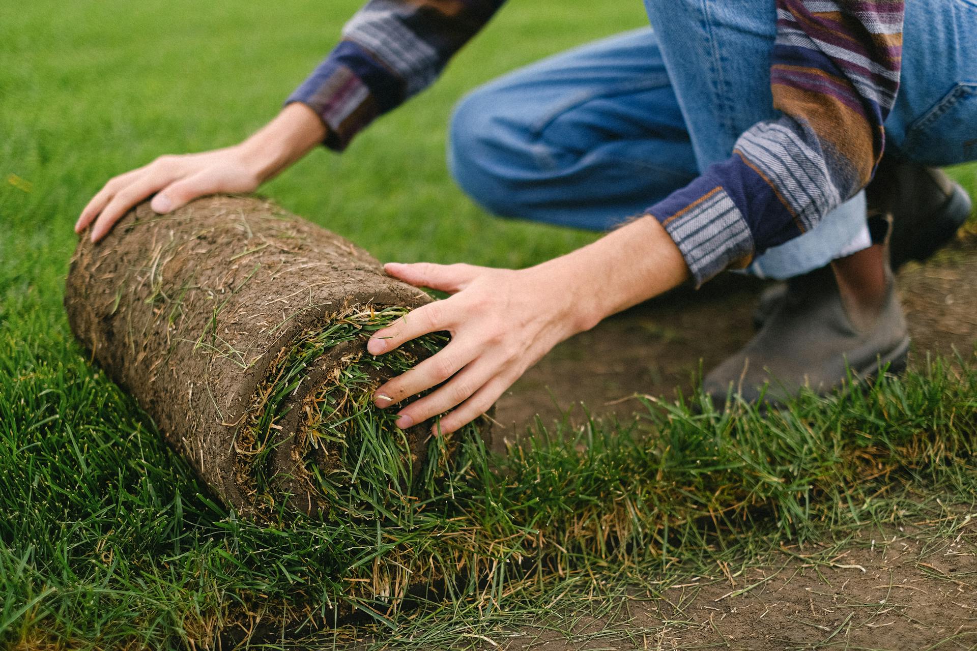 Landscaping Tips for Your 30A Home 
